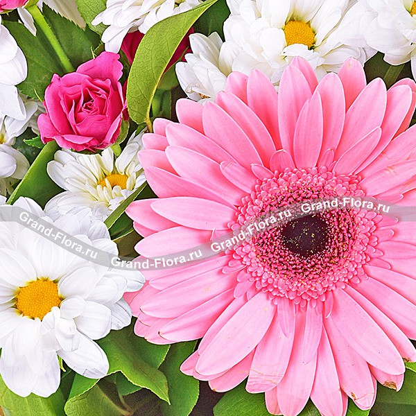 Глоток романтики – букет из кустовой хризантемы и розовых гербер
